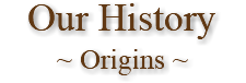 Our History ~ Origins ~